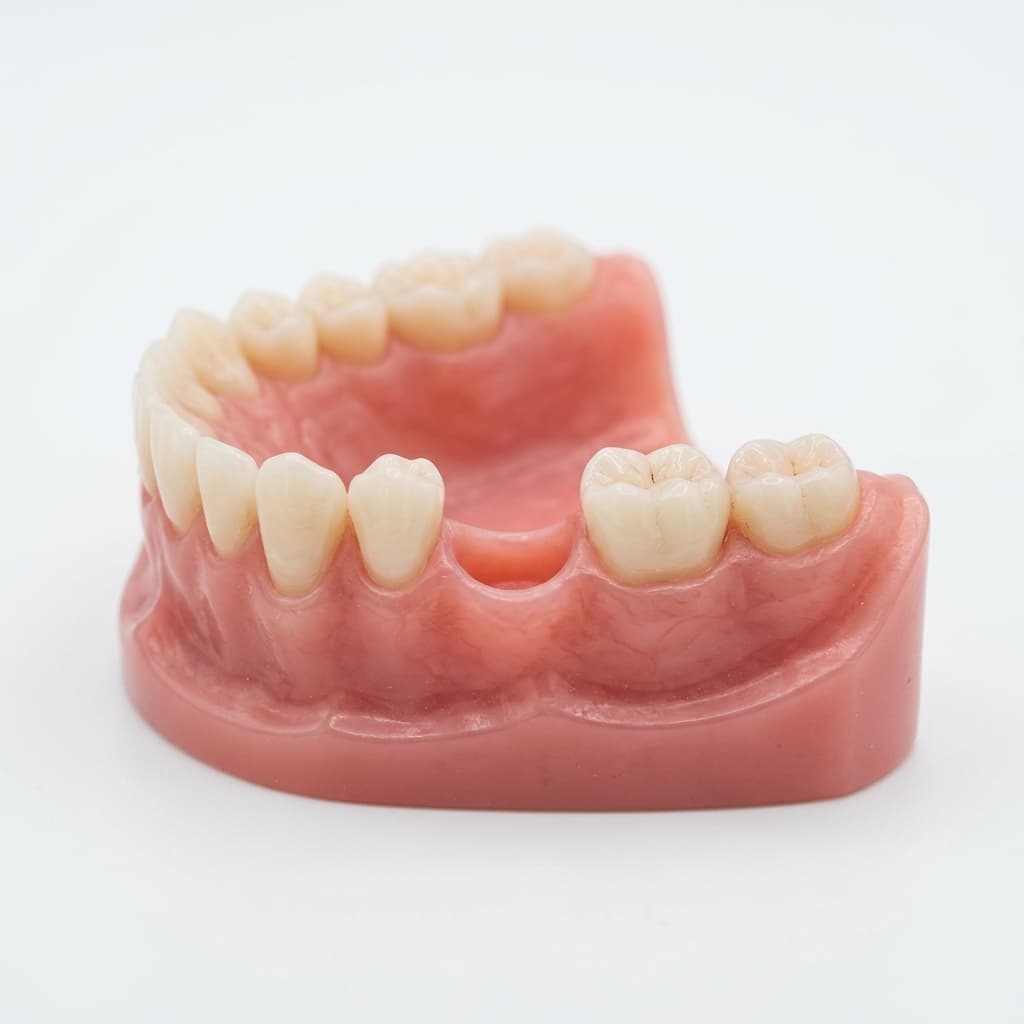 Missing Teeth / Hard to Chew Food